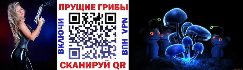 это как зайти  Саратов  Псилоцибиновые грибы Magic Shrooms 